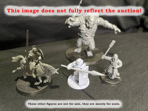 3 Iron Hills Dwarf Shieldwall Warriors Miniatures Middle Earth LOTR D&D Warhammer Dwarf